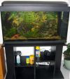 Aquarium 200l + meuble et accessoires